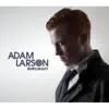 Adam Larson - Simple Beauty